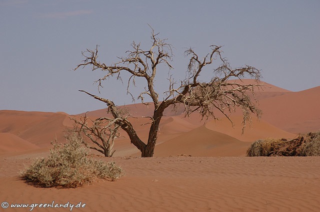 afrika2005_068