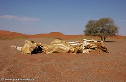 afrika2005_071