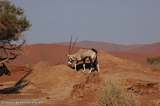 afrika2005_074