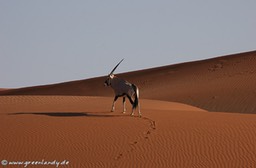 afrika2005_075