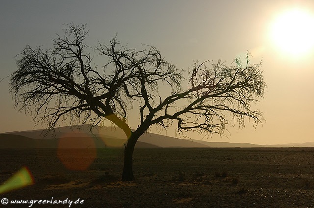 afrika2005_080