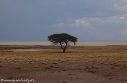 afrika2005_107