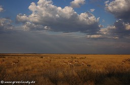 afrika2005_109