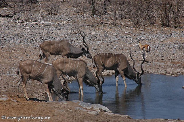 afrika2005_110