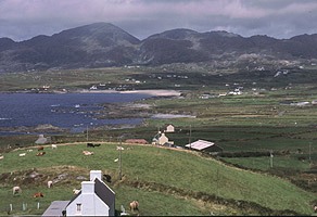 Irland2001 010 Landschaft.jpg