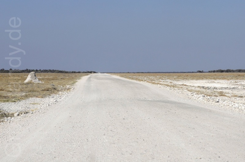 Unterwegs im Etosha-Nationalpark