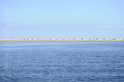 Zu Boot unterwegs in der Bucht von Walvis Bay