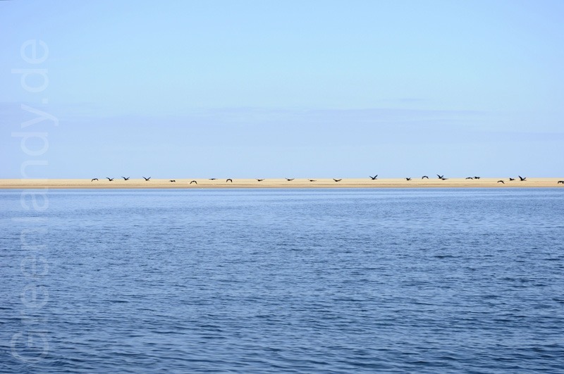 Zu Boot unterwegs in der Bucht von Walvis Bay