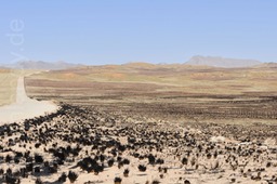 auf dem Weg zum Sossusvlei