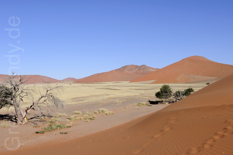 Die roten Dünen im Sossusvlei