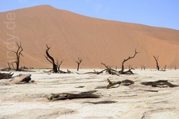 Dead Vlei