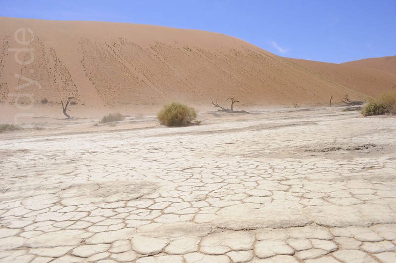 Dead Vlei