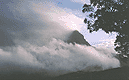 Berg im Nebel