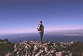 auf dem Tafelberg