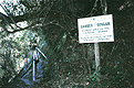 Trail in Wilderness