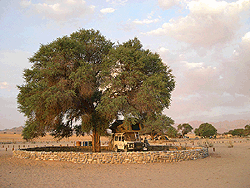 Camp vor den Toren zum Sossusvlei
