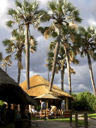 Palmwag Lodge Camp, Poolbar