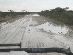 Etosha National Park, Matschpiste