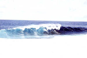 Welle