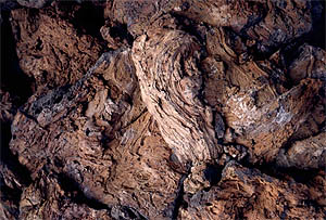 Lava