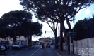 Nizza