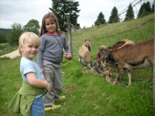 Greenlandy, Frankreich, Bild2